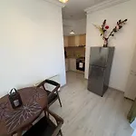 Goldring 콘스탄차